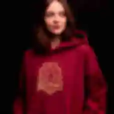 Худі OVERSIZE №4 • Контурний герб факультету Ґрифіндор • Gryffindor • Кофта Гаррі Поттер • Одяг в стилі Harry Potter