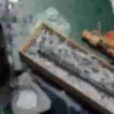 Чарівна паличка Северуса Снейпа ⚡️ Severus Snape's Wand ⚡️ Сувеніри Гаррі Поттер ⚡️ Harry Potter