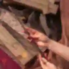 Чарівна паличка Сіріуса Блека ⚡️ Sirius Black's Wand ⚡️ Сувеніри Гаррі Поттер ⚡️ Harry Potter