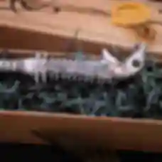 Чарівна паличка Луціуса Мелфоя ⚡️ Lucius Malfoy's Wand ⚡️ Сувеніри Гаррі Поттер ⚡️ Harry Potter
