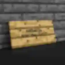 Холст ⦁ Табличка с собственным текстом ⦁ Minecraft